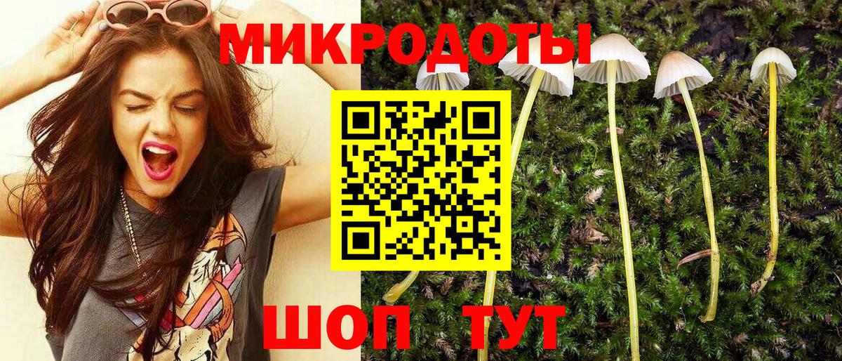 Галлюциногенные грибы Psilocybe  Вход с VPN  Нарткала 