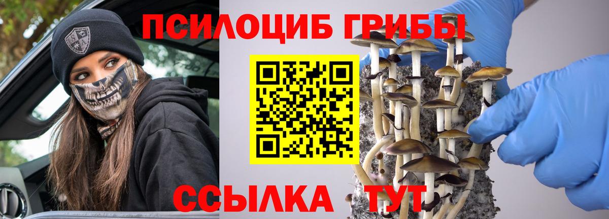 Галлюциногенные грибы Cubensis Нарткала